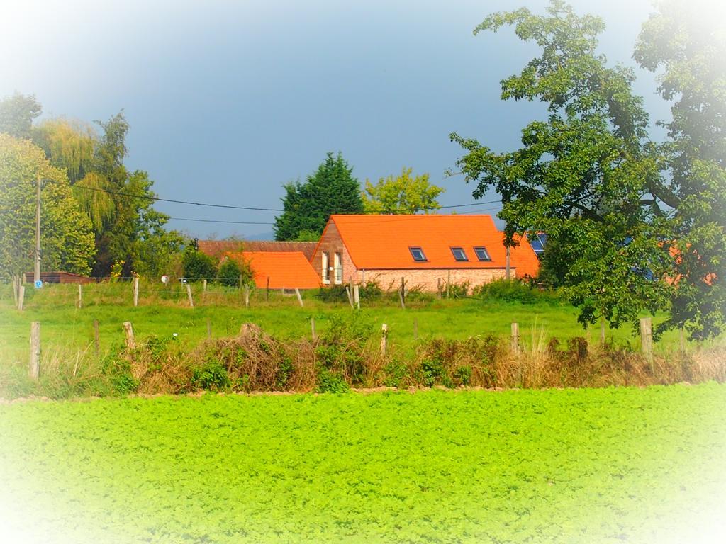 Archipel Holiday Cottage Ellezelles Kültér fotó