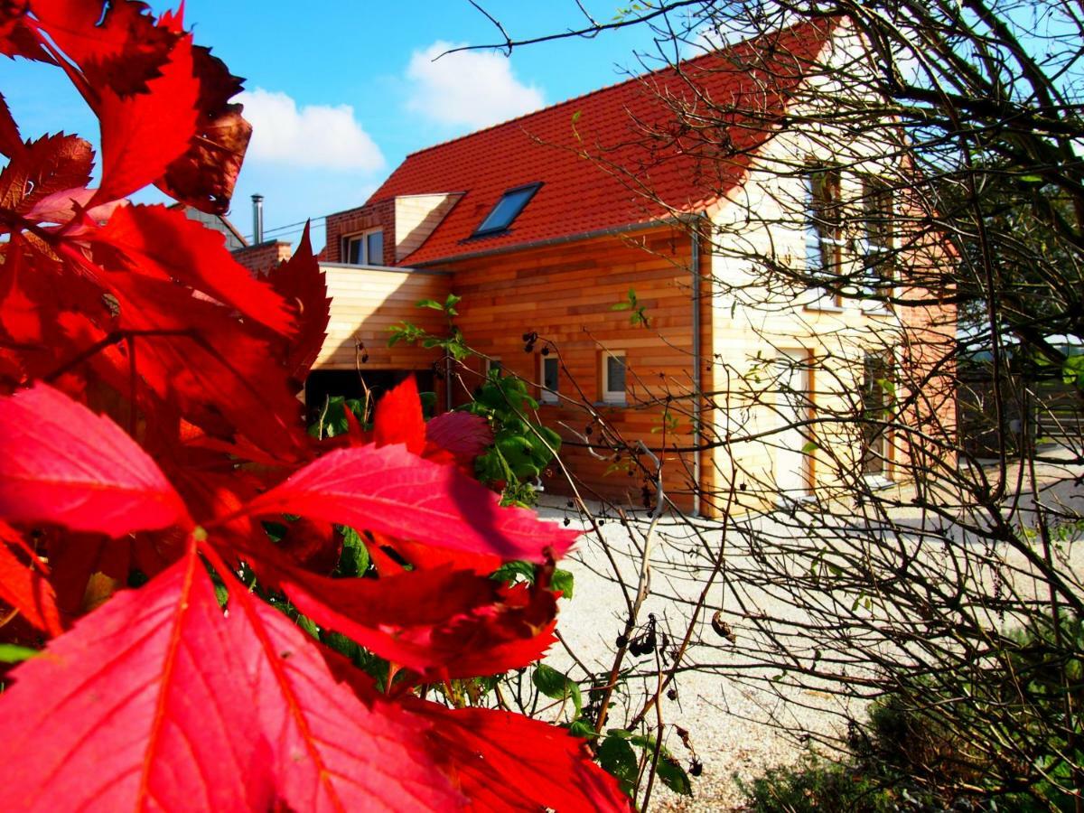 Archipel Holiday Cottage Ellezelles Kültér fotó